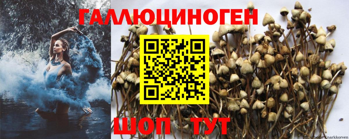 Псилоцибиновые грибы MAGIC MUSHROOMS Ханты-Мансийск